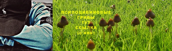 метадон Кукмор