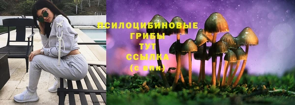 метадон Кукмор