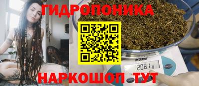 Альфа ПВП Камышлов
