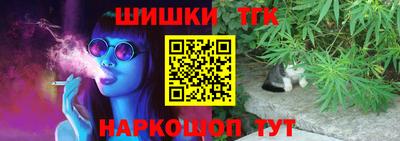 Альфа ПВП Камышлов