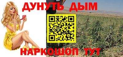 Альфа ПВП Камышлов