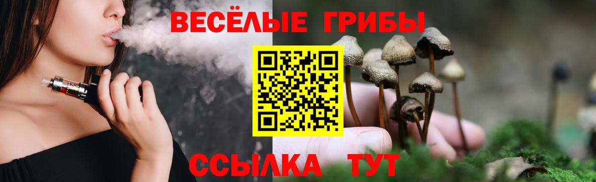 Псилоцибиновые грибы прущие грибы  Вход с VPN  Новороссийск 