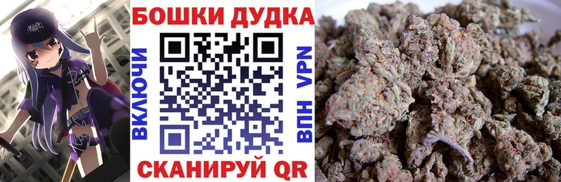 Шишки марихуана THC 21%  hydra как зайти  Новороссийск 