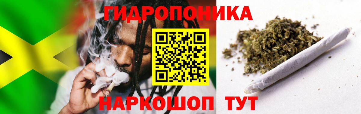 Конопля SATIVA & INDICA Новороссийск